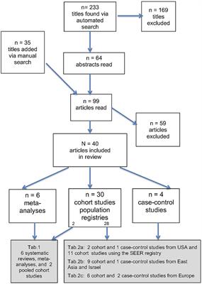 Breast Cancer After Treatment of Differentiated Thyroid Cancer With Radioiodine in Young Females: What We Know and How to Investigate Open Questions. Review of the Literature and Results of a Multi-Registry Survey